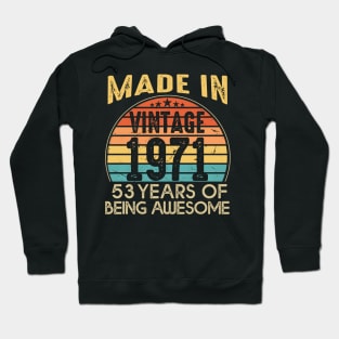 T4691971 Vintage 1971 53 Years Old Being Awesome Hoodie